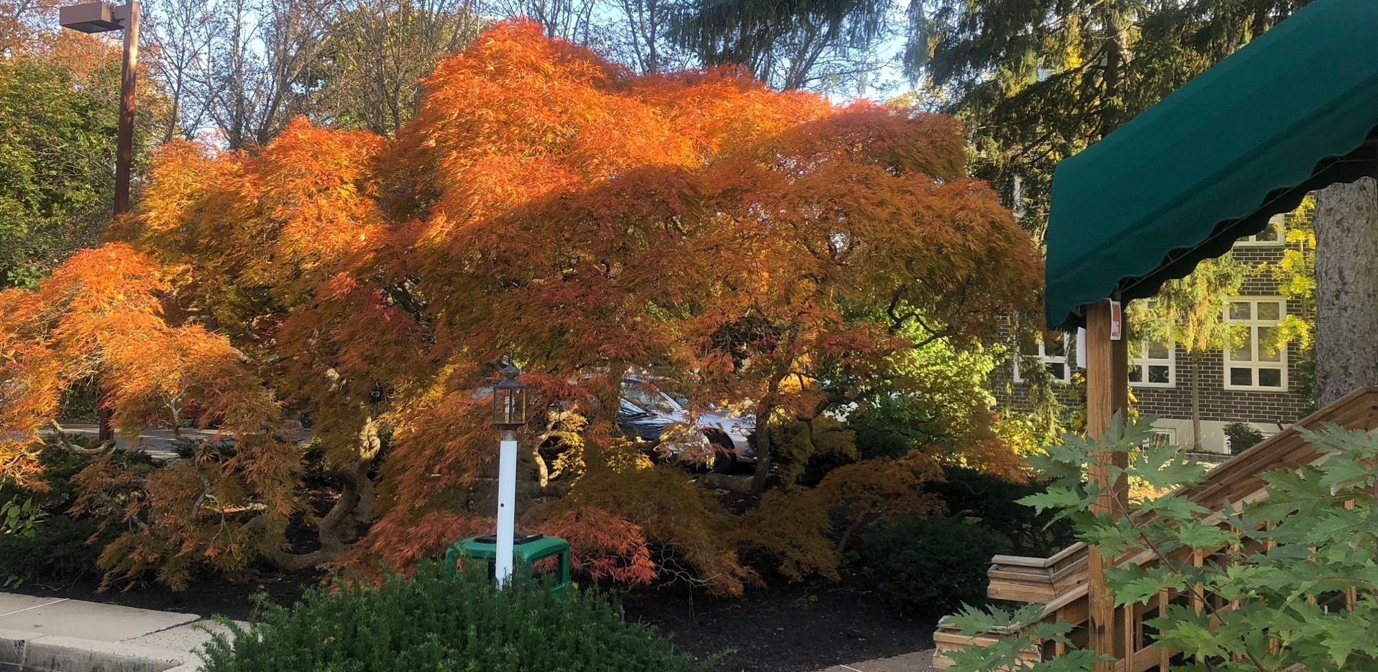 Our rehab center offers top-quality counseling services in Somerville, NJ